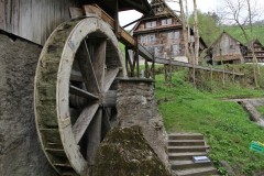 IMG_1000