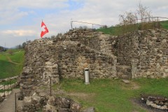 IMG_1006