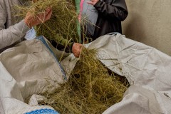 IMG_0844