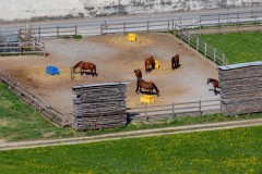 IMG_766