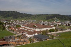 IMG_768