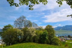 IMG_770